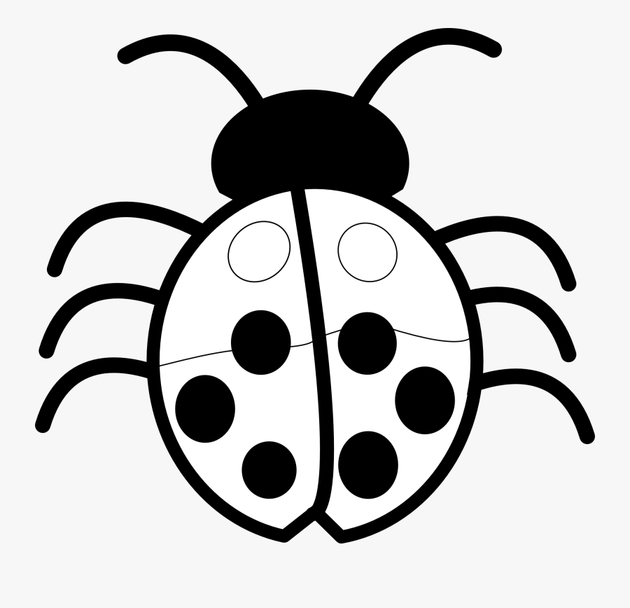 Ladybug - Drawing - Black - And - White - Insect Clipart Black And White, Transparent Clipart