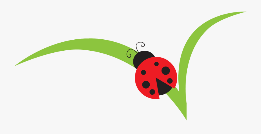 Branch Clipart Ladybug - Ladybug On Leaf Clipart, Transparent Clipart