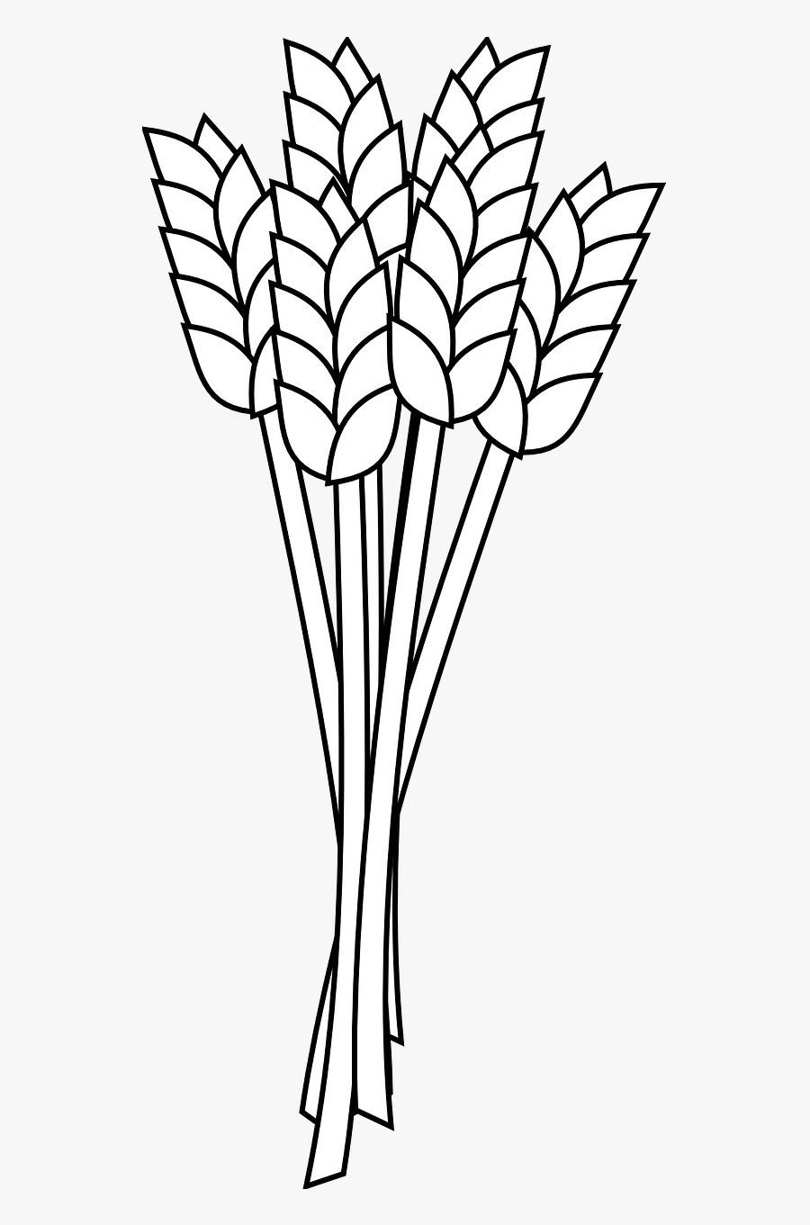 Farmer Farmer Indian Transparent Png Clipart Free Download - Wheat Clipart Black And White, Transparent Clipart