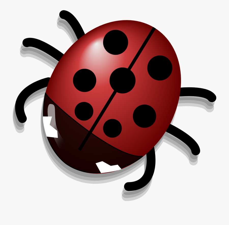 Ladybug - Ladybug Clipart, Transparent Clipart
