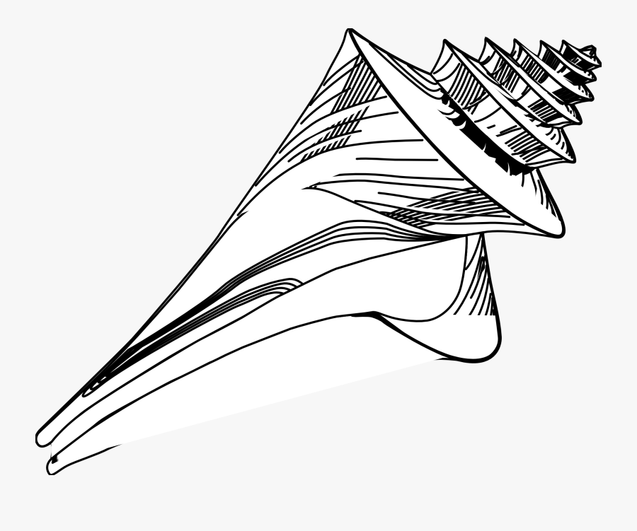 Starfish - Black - And - White - Drawing - Seashell Clipart Black And White Png, Transparent Clipart