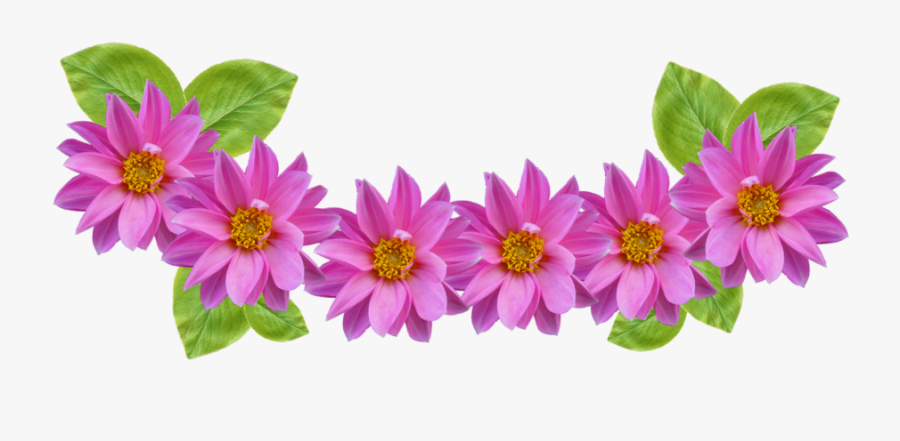 Free Cliparts Download Clip - Pink Flower Transparent Png, Transparent Clipart