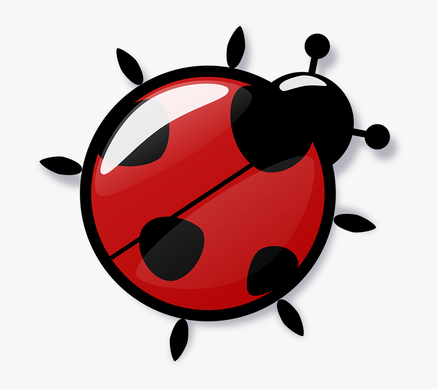 Ladybug Free To Use Clipart - Ladybug Vector, Transparent Clipart