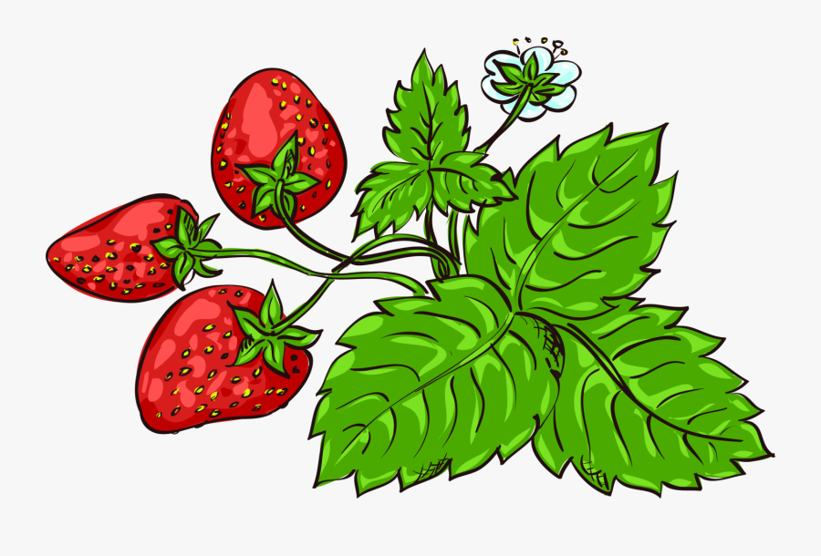 Clipart Leaf Strawberry, Transparent Clipart