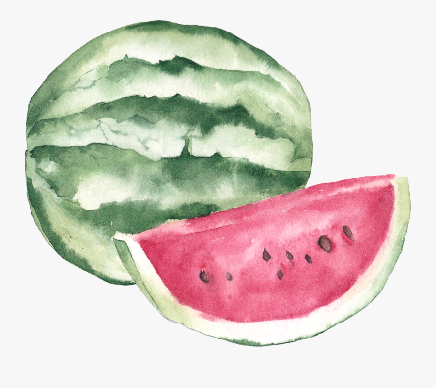Watercolor Painting Lychee Illustration - Watermelon Clipart Watercolor Free, Transparent Clipart
