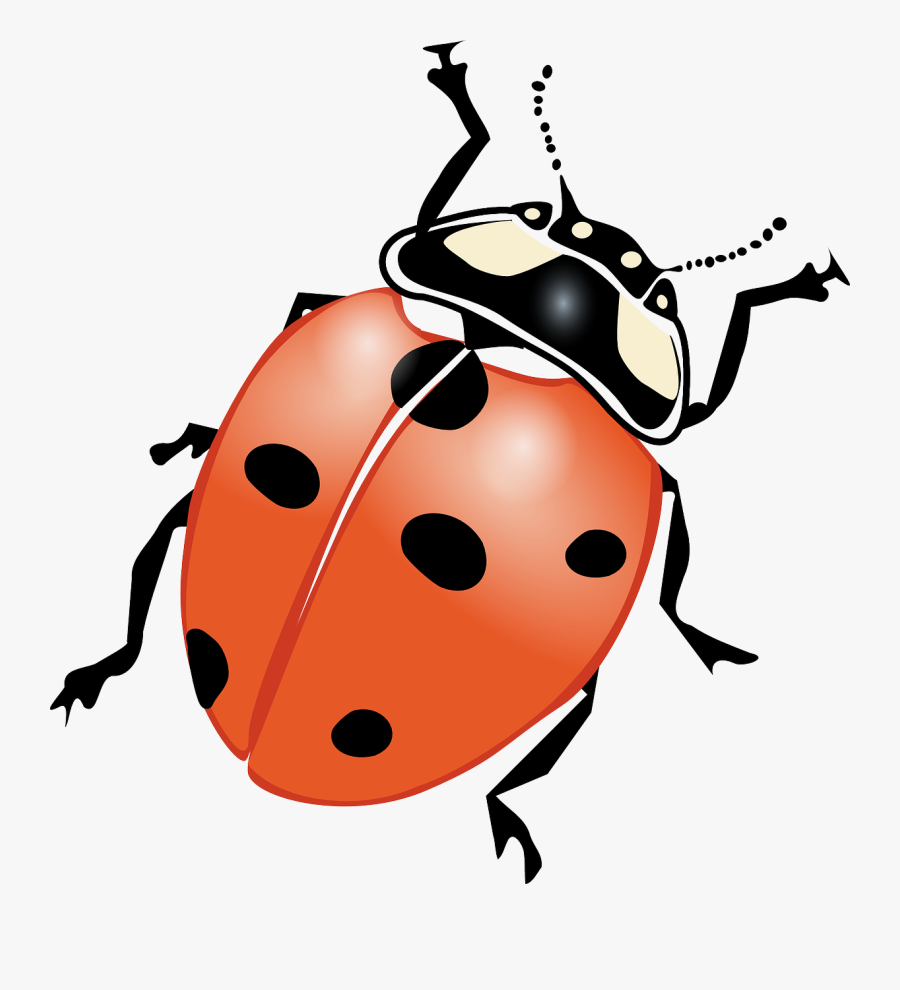 Bug Cliparts, Transparent Clipart