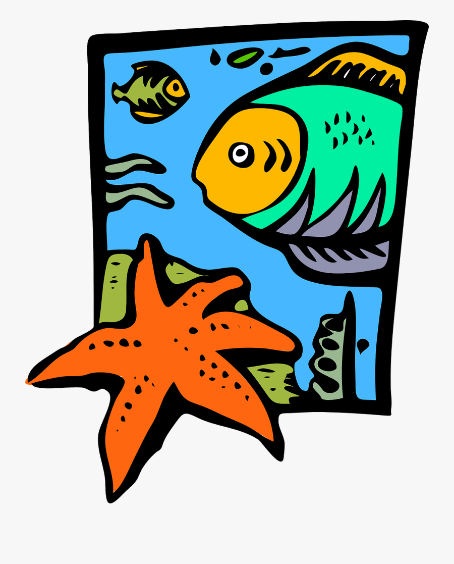 Starfish Clip Art Download - Clip Art Marine Biology, Transparent Clipart