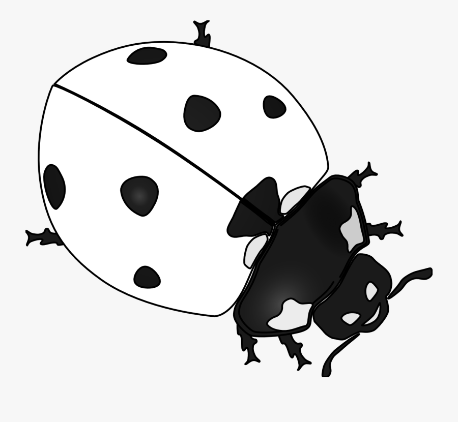 Ladybug Black White Art - Ladybirds Black And White, Transparent Clipart