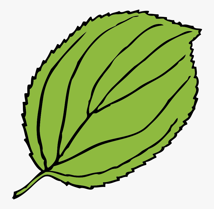Winsome Design Jungle Leaves Clipart Nice Border Clip - Leaf Clip Art, Transparent Clipart