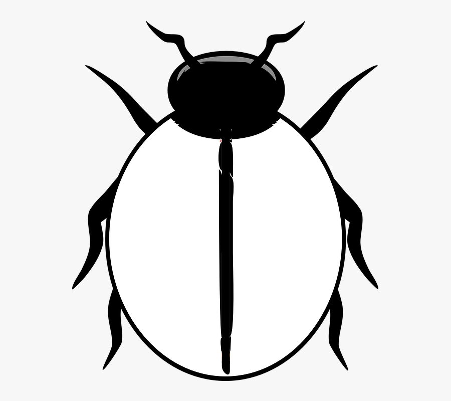 Ladybug Clipart Blank - Ladybird Clipart Black And White, Transparent Clipart
