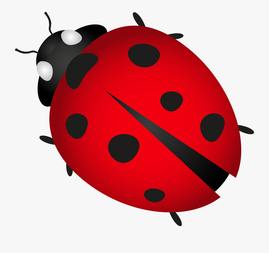 Clipart Spring Ladybug - Png Transparent Ladybug Png, Transparent Clipart