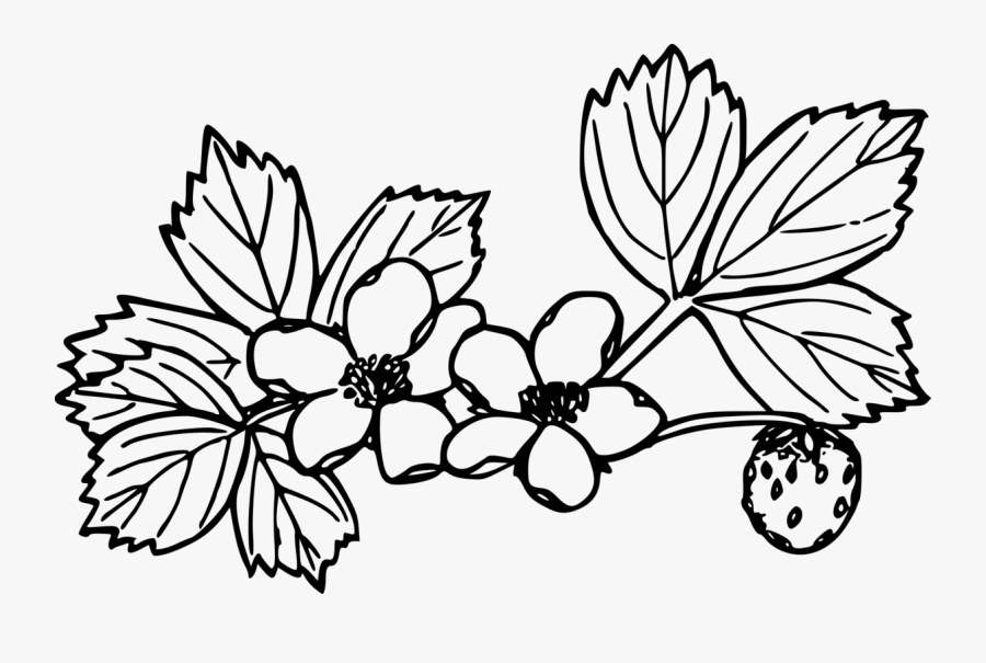 Strawberry Flower Clipart - Wild Strawberry Black And White, Transparent Clipart