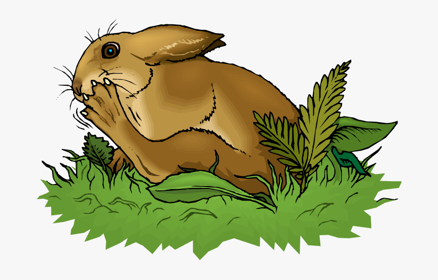 Illustration, Transparent Clipart