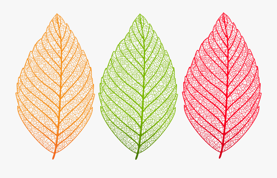 Transparent Leaves Set Png Clip Art Image - Transparent Leaf Clipart Png, Transparent Clipart