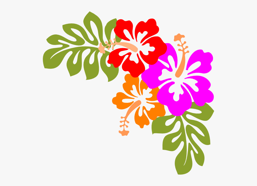 Luau - Clip - Art - Borders - Free - Hibiscus Clip Art, Transparent Clipart