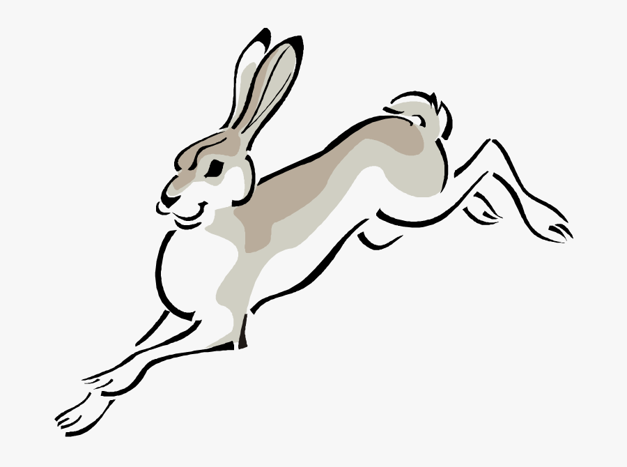 Free Rabbit Clipart - Jack Rabbit Clip Art, Transparent Clipart
