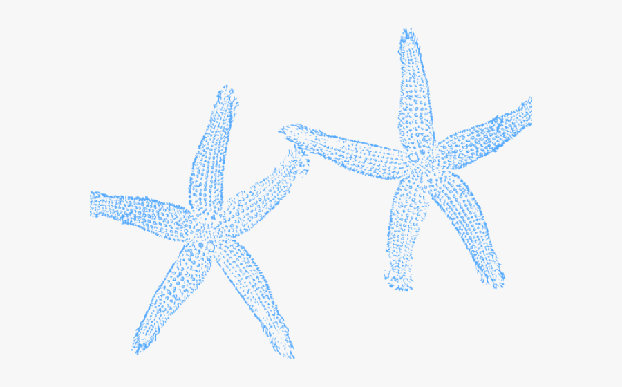 Starfish, Transparent Clipart
