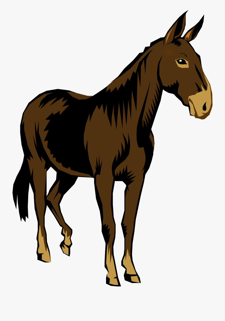Stubborn Mule Clipart Cliparthut Free Clipart Owjvwj - Mule Clipart Free, Transparent Clipart