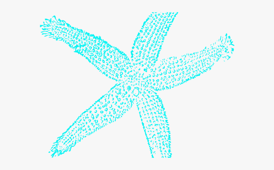 Transparent Starfish Border Clipart - Starfish, Transparent Clipart
