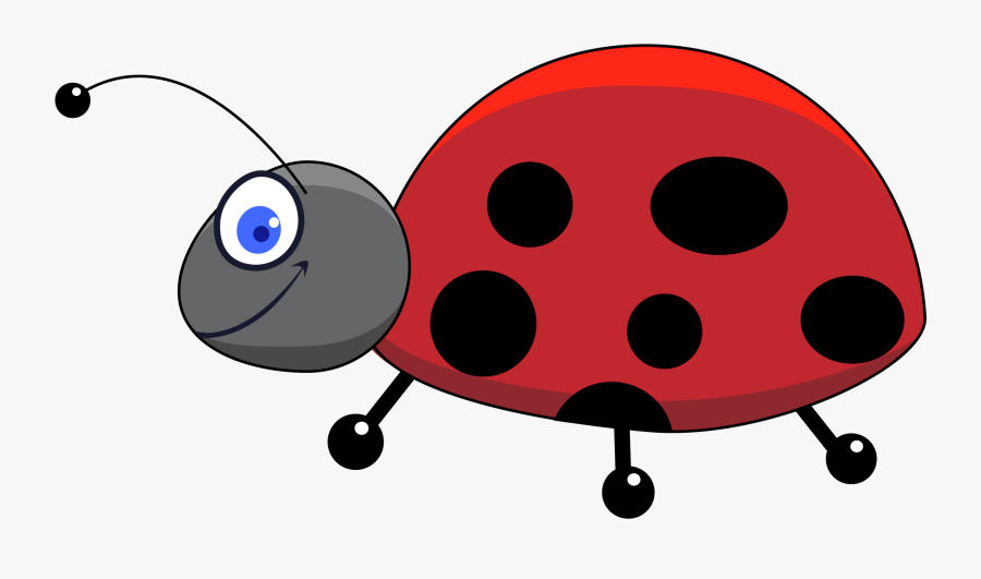 Transparent Ladybug Clipart - Lady Bugs Drawing Cartoon, Transparent Clipart