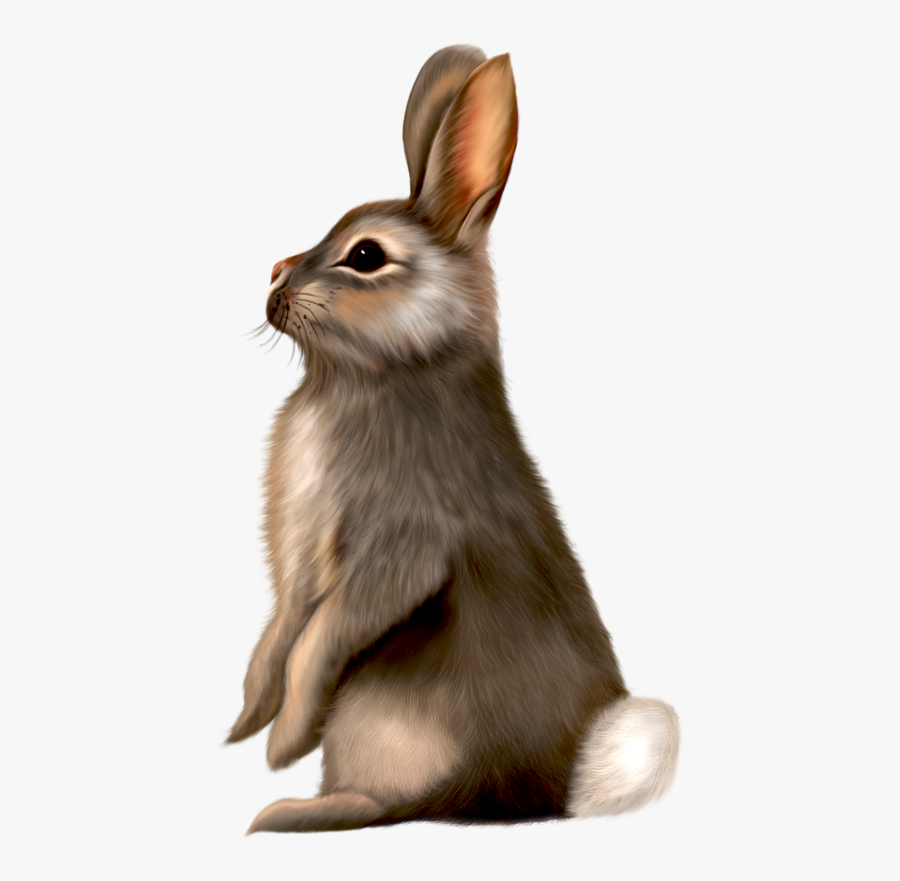 Brown Easter Bunny Clip Art, Transparent Clipart