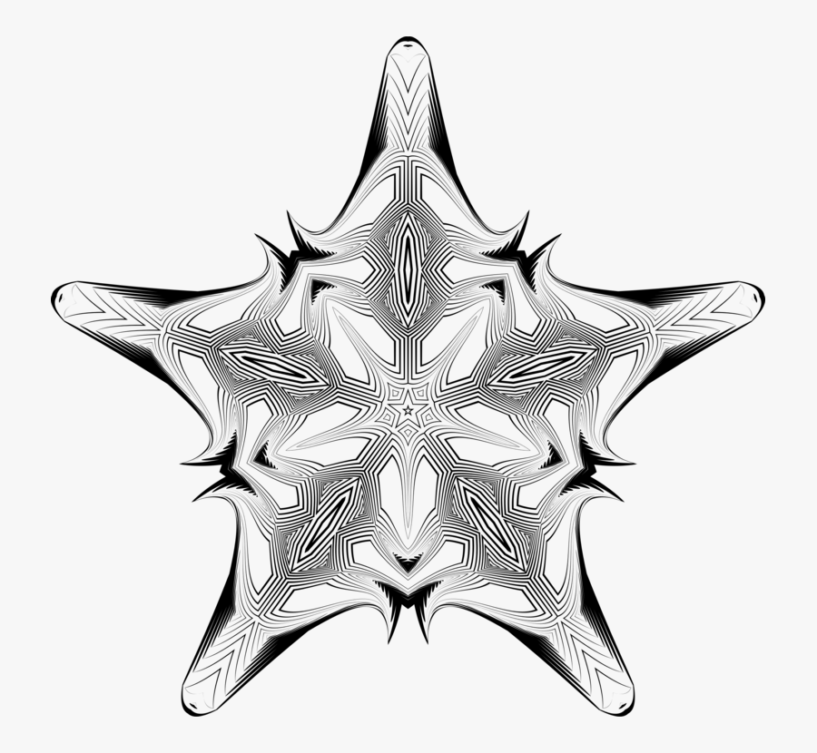 Visual Arts,christmas Ornament,starfish - Illustration, Transparent Clipart