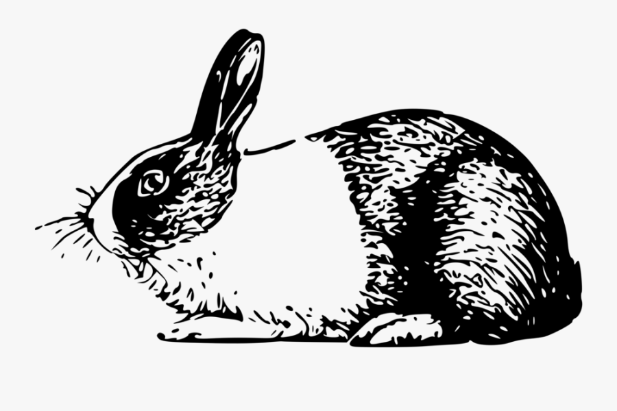 Doll Rabbit Clipart, Vector Clip Art Online, Royalty - Rabbit Illustrations Black And White, Transparent Clipart