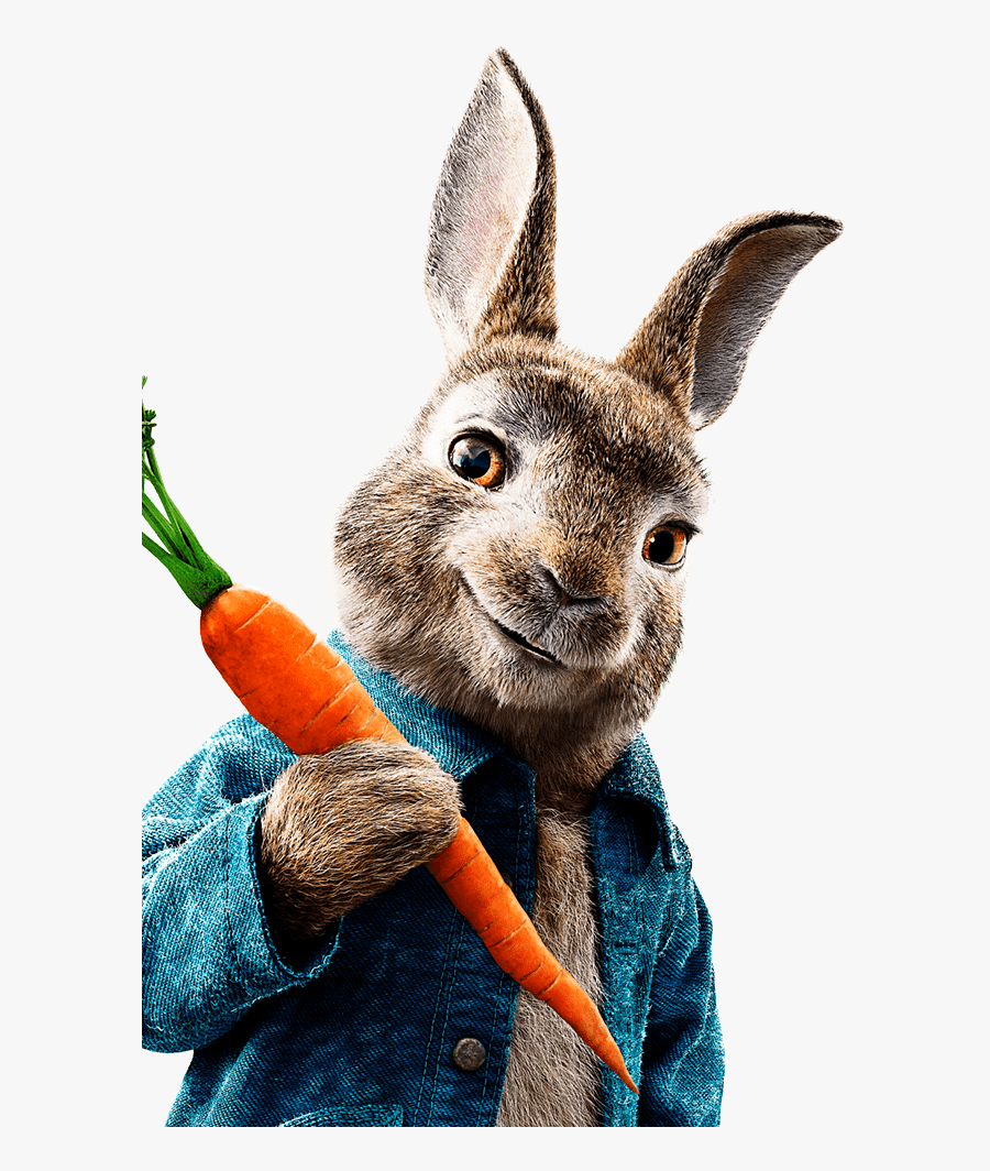 Transparent Peter Rabbit Clipart - Peter Rabbit Images Hd, Transparent Clipart