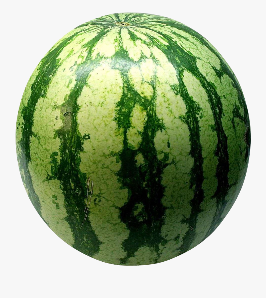 Transparent Watermelon Clipart Png - Watermelon Images Of Fruits, Transparent Clipart