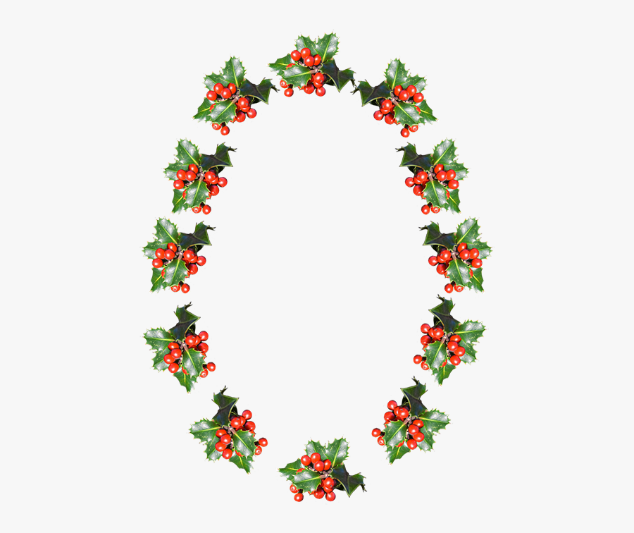 Clip Art Borders Frame - Cauliflower Mosaic Virus Replication, Transparent Clipart