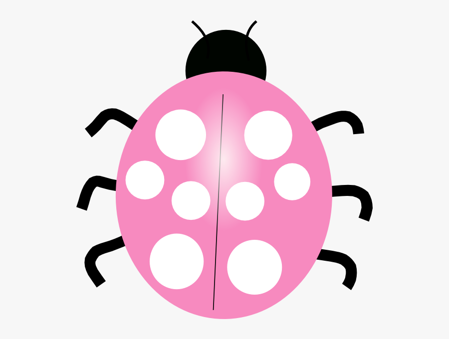 Real - Pink - Ladybugs - Different Colored Ladybugs Clipart, Transparent Clipart