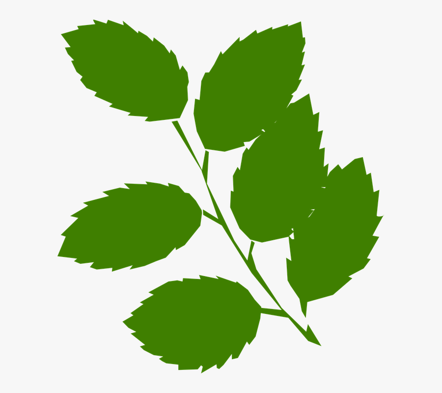 Leaf Clipart Clip Art - Green Leaves Clipart, Transparent Clipart