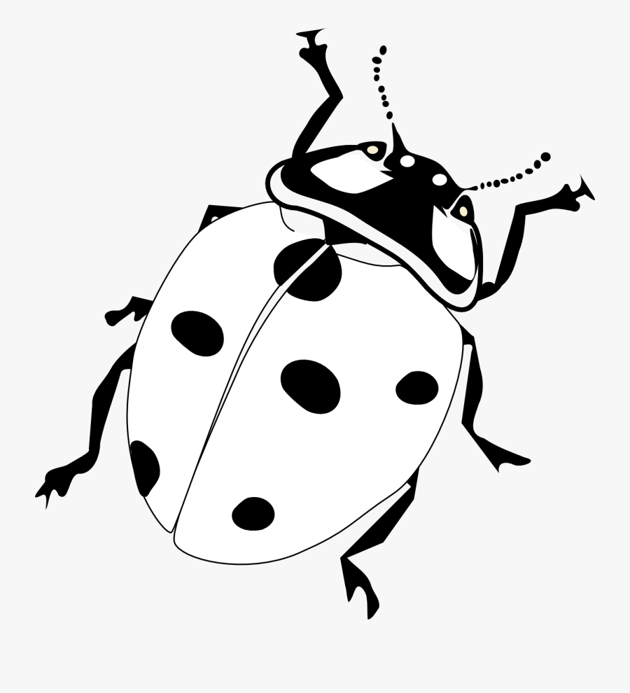 Ladybugs Clipart Black And White - Ladybird Black And White, Transparent Clipart