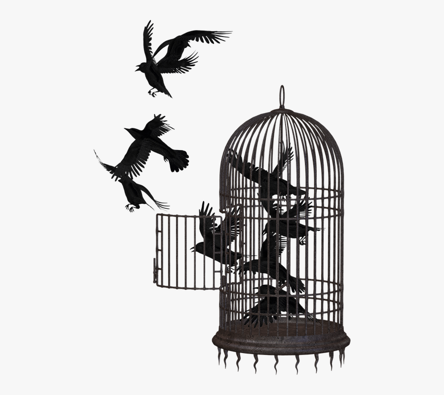 Cage Png Picture - Bird In A Cage Png, Transparent Clipart