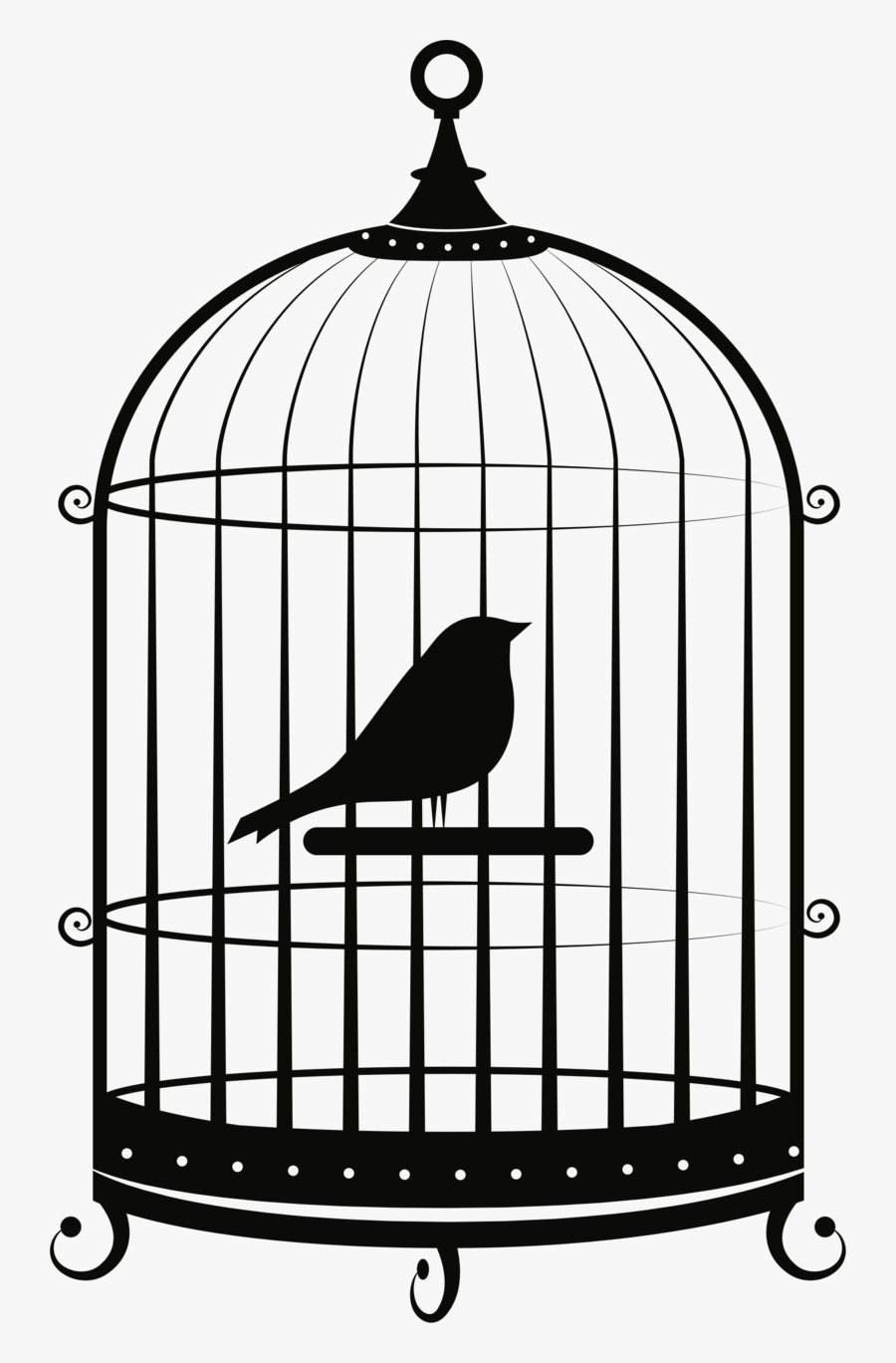 Cage Png Image - Bird In Cage Png, Transparent Clipart