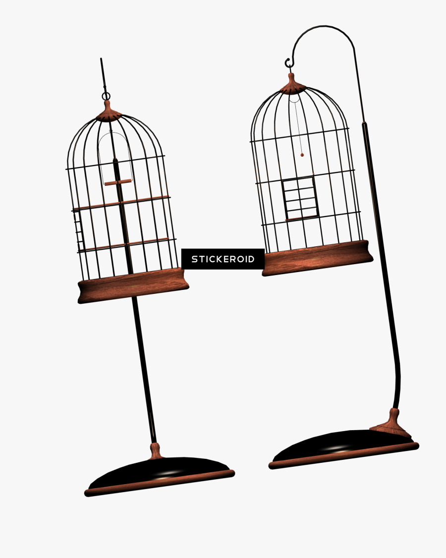 Cage Bird Objects - قفص, Transparent Clipart