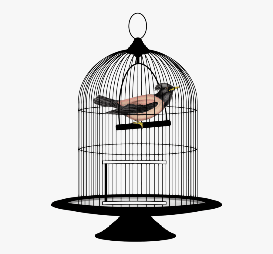 This Png File Is About Wires , Clipart , Cage , Mesh - Bird In A Cage Png, Transparent Clipart