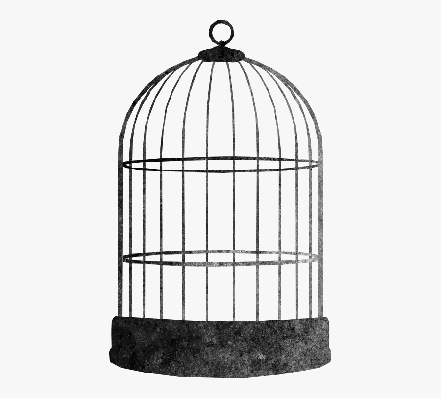 Bird Cage - Cage - Birds Cage Png Hd, Transparent Clipart