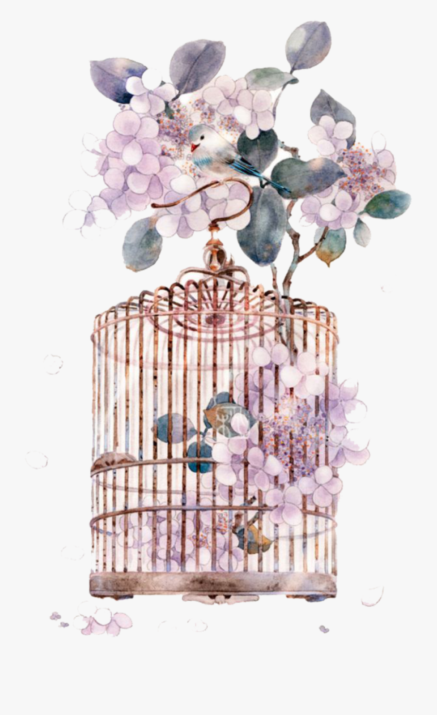 Art Chinese Cage Watercolor Miyou Asian Painting Clipart - Watercolour Bird Cage, Transparent Clipart