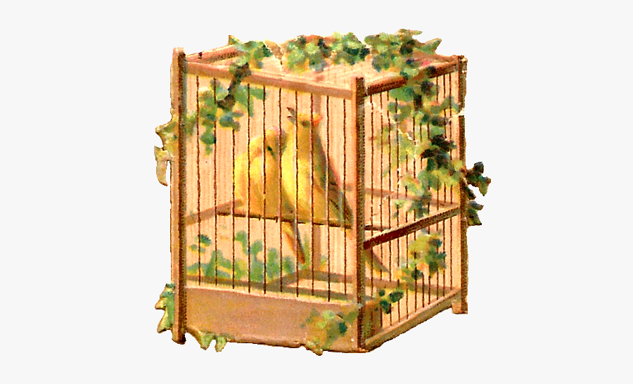 Cage, Transparent Clipart