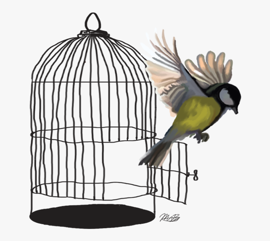 Lovebird Budgerigar Parrot Cage - Bird Flying Out Of Cage, Transparent Clipart