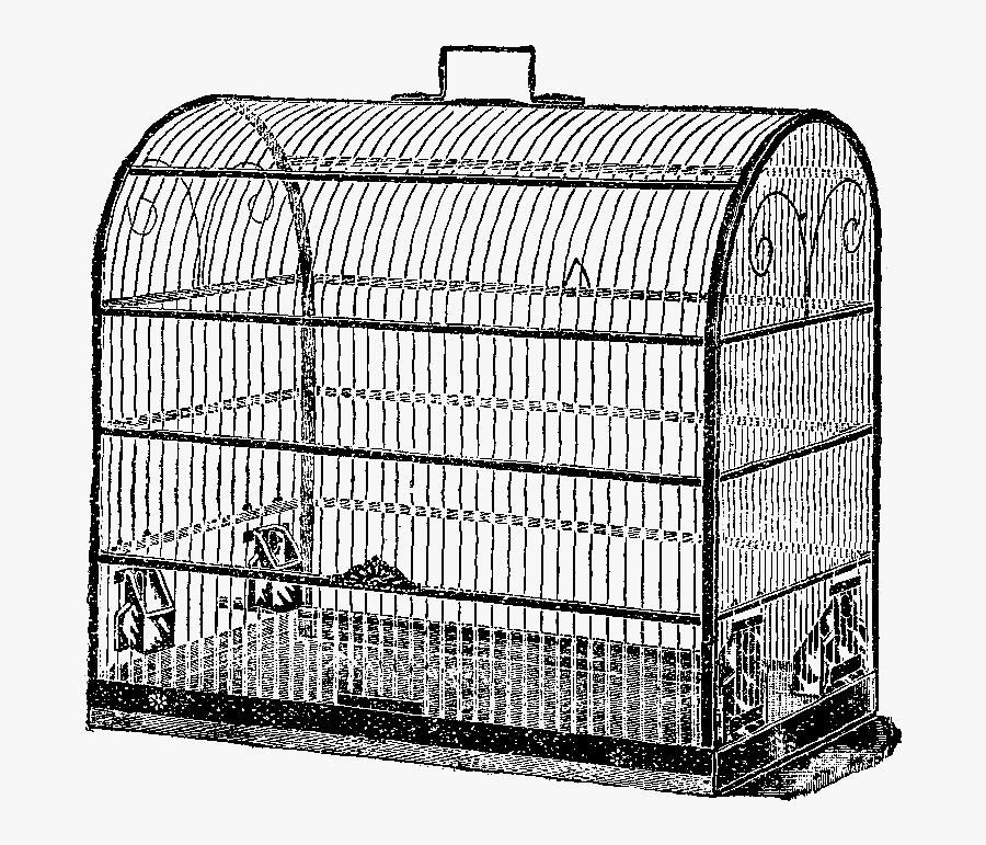 Cage, Transparent Clipart
