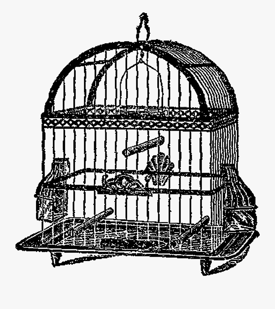 Cage, Transparent Clipart