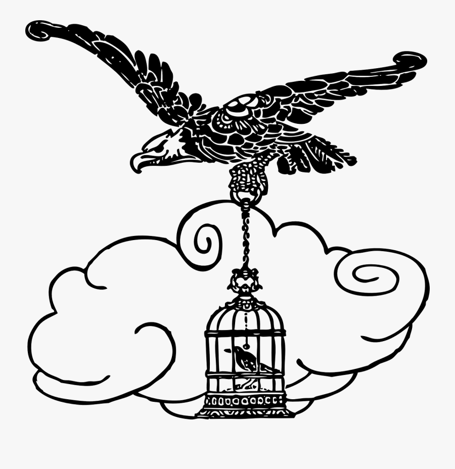 Cage Bird Line Drawing, Transparent Clipart
