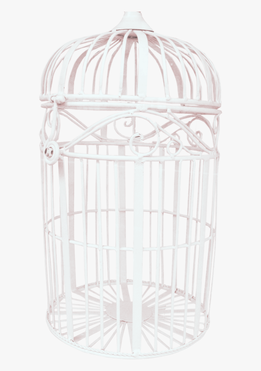 Tube Png Cage À Oiseaux, Transparent Clipart