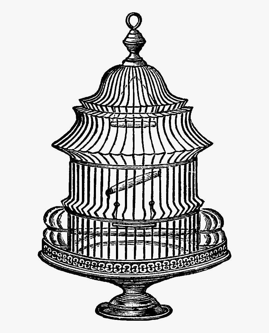 Antique Bird Cage Drawing, Transparent Clipart