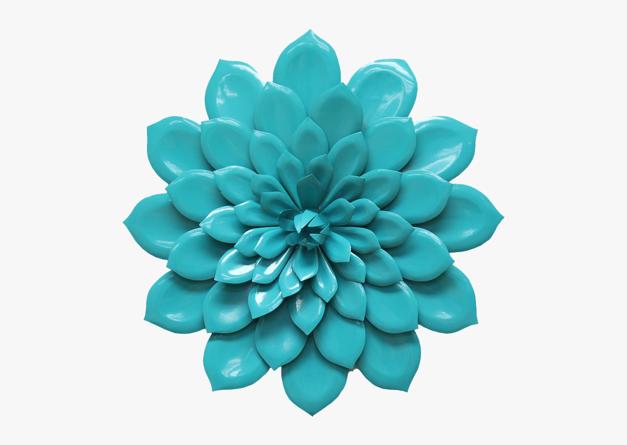 Echeveria, Transparent Clipart