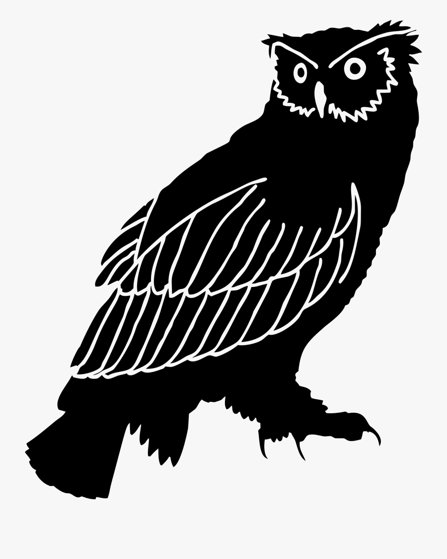 Clipart - Owl Silhouette Png, Transparent Clipart