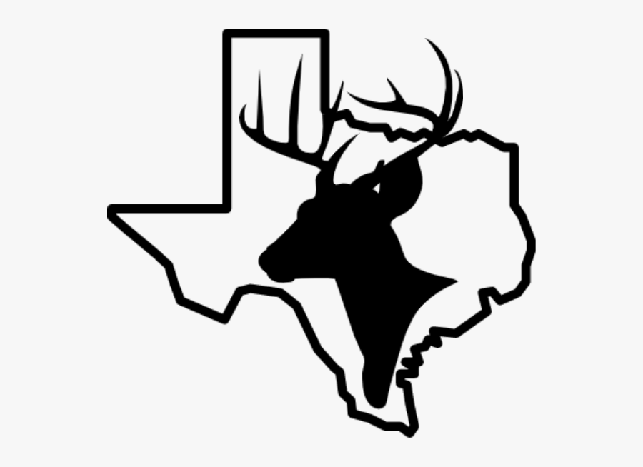 Transparent Whitetail Deer Clipart - Dove Hunt Clip Art, Transparent Clipart