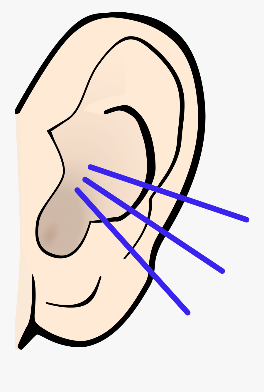 Drawing Of A Pinky White Flesh Colored Ear With 3 Blue - Ear Clipart Black And White, Transparent Clipart
